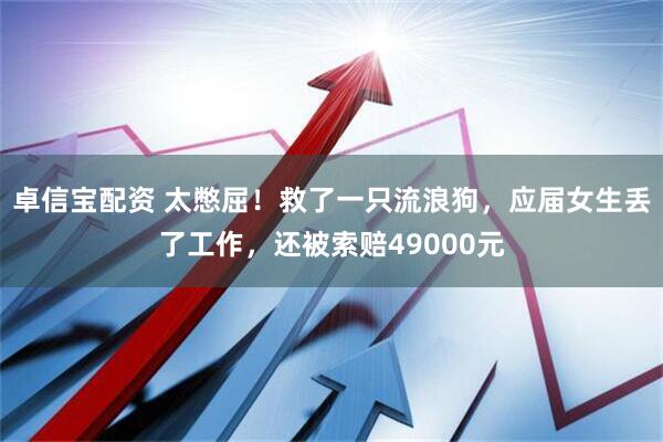 卓信宝配资 太憋屈！救了一只流浪狗，应届女生丢了工作，还被索赔49000元