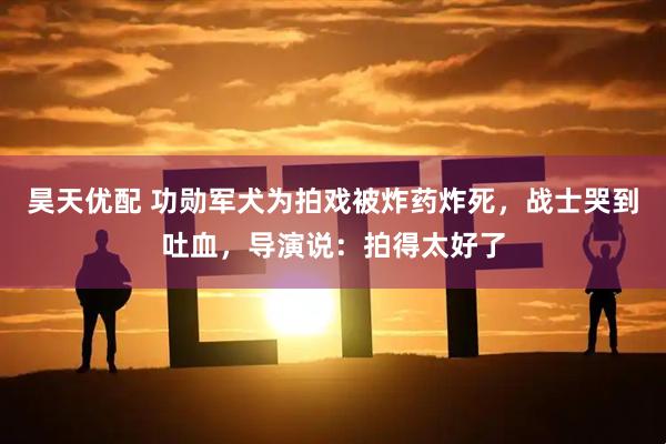 昊天优配 功勋军犬为拍戏被炸药炸死，战士哭到吐血，导演说：拍得太好了
