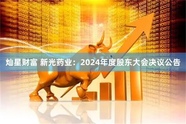 灿星财富 新光药业：2024年度股东大会决议公告