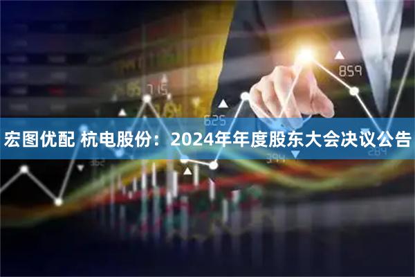 宏图优配 杭电股份：2024年年度股东大会决议公告
