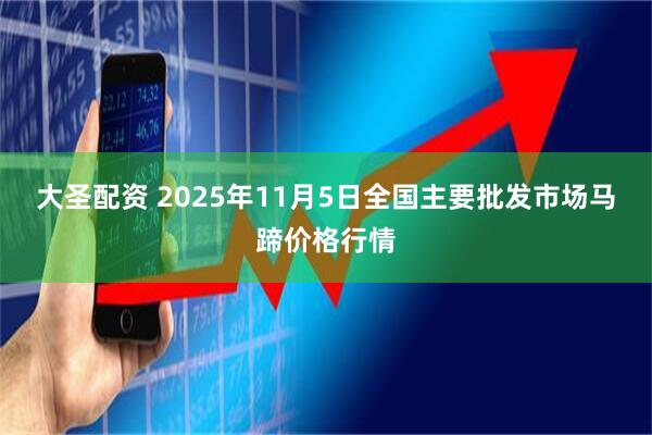 大圣配资 2025年11月5日全国主要批发市场马蹄价格行情