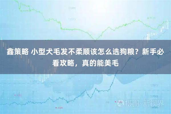 鑫策略 小型犬毛发不柔顺该怎么选狗粮？新手必看攻略，真的能美毛