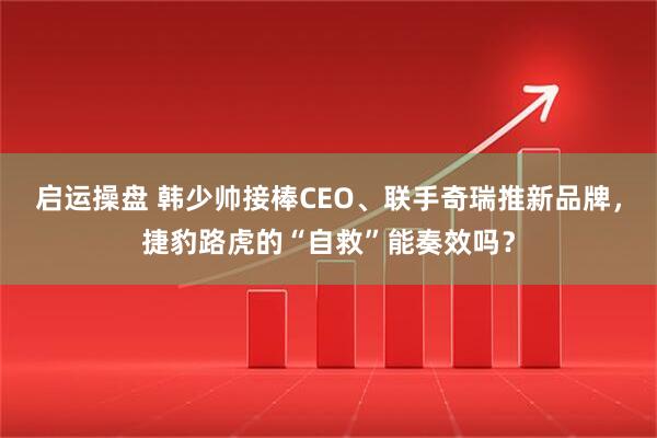启运操盘 韩少帅接棒CEO、联手奇瑞推新品牌，捷豹路虎的“自救”能奏效吗？