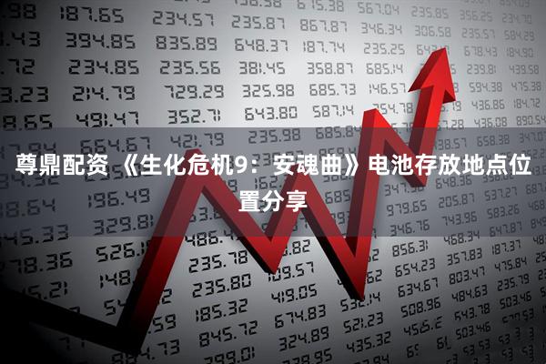 尊鼎配资 《生化危机9：安魂曲》电池存放地点位置分享