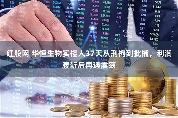 红股网 华恒生物实控人37天从刑拘到批捕，利润腰斩后再遇震荡